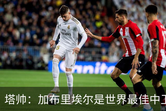 塔帅：加布里埃尔是世界最佳中卫之一，他在两个禁区的作用太强了