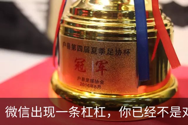 微信出现一条杠杠，你已经不是对方好友了